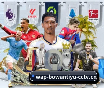 博万客户端 APP - BOWAN SPORTS